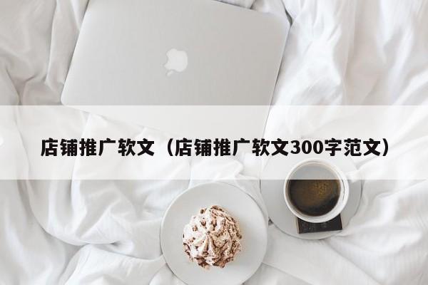 店铺推广软文（店铺推广软文300字范文）