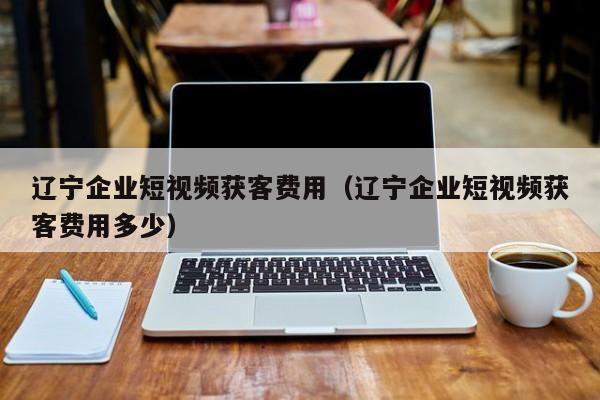 辽宁企业短视频获客费用（辽宁企业短视频获客费用多少）