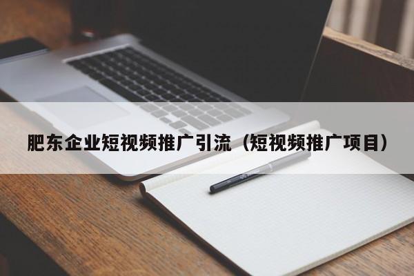 肥东企业短视频推广引流（短视频推广项目）